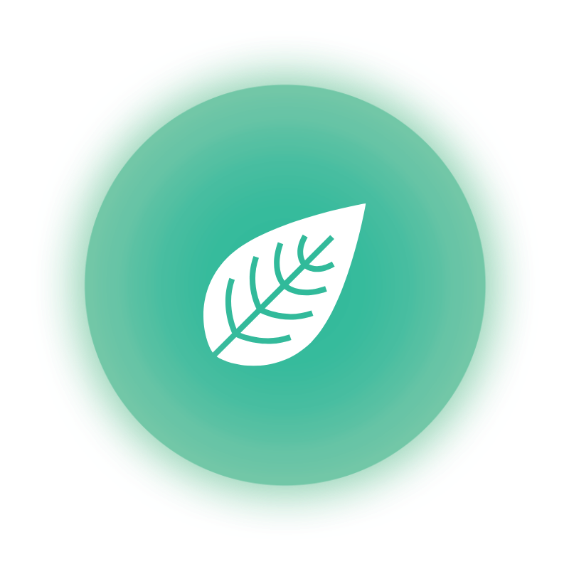 Sustainability